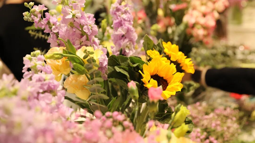 1761795260753118.jpg 3.jpg