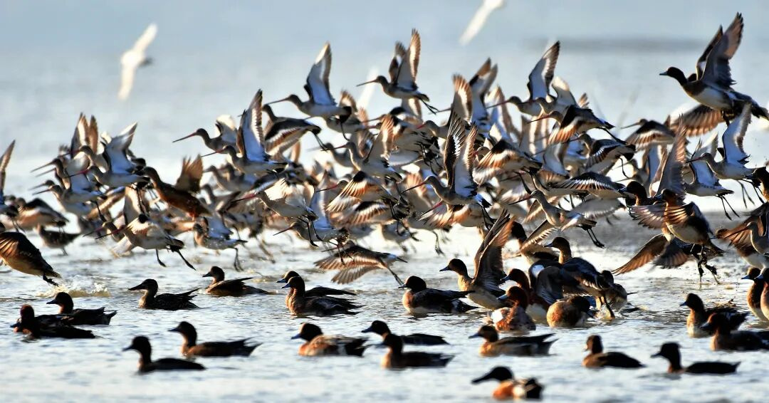 1764150262896945.jpg 7.jpg