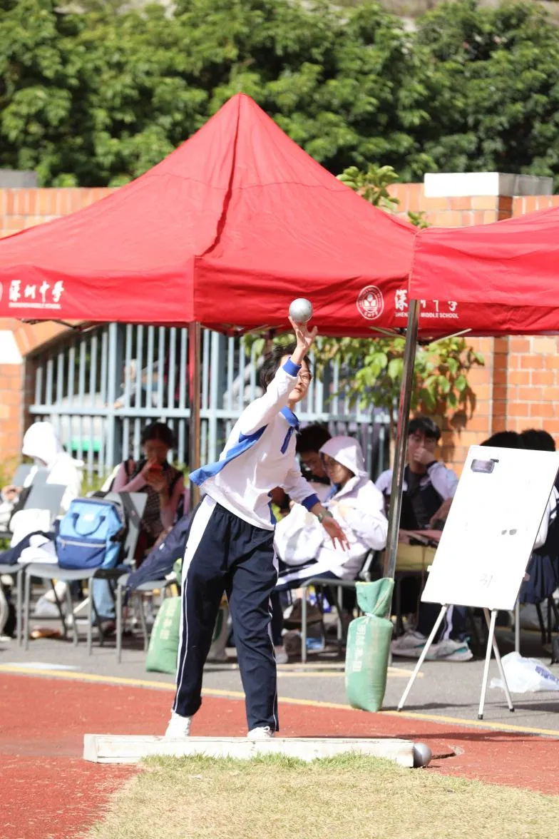 1764659921707671.jpg 19.jpg