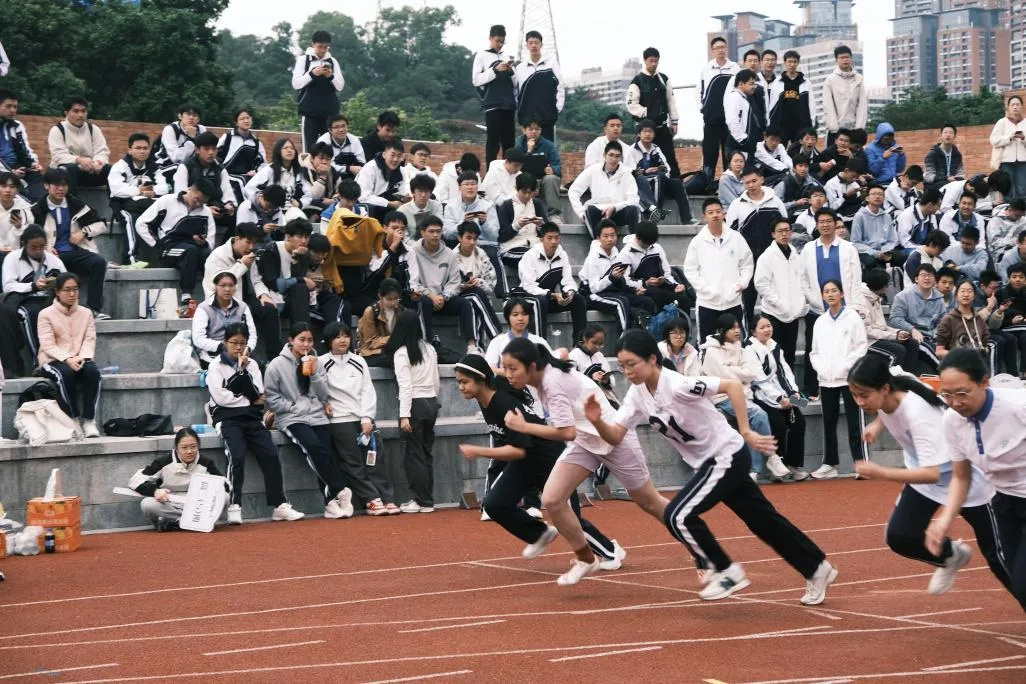 1764660016252743.jpg 25.jpg