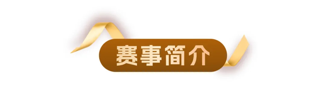 1765157719777326.jpg 7.jpg