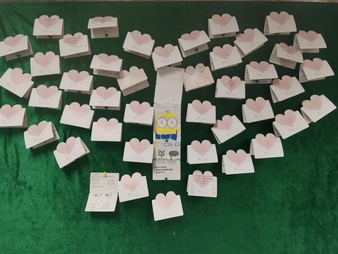 1766024616761384.jpg 13.jpg